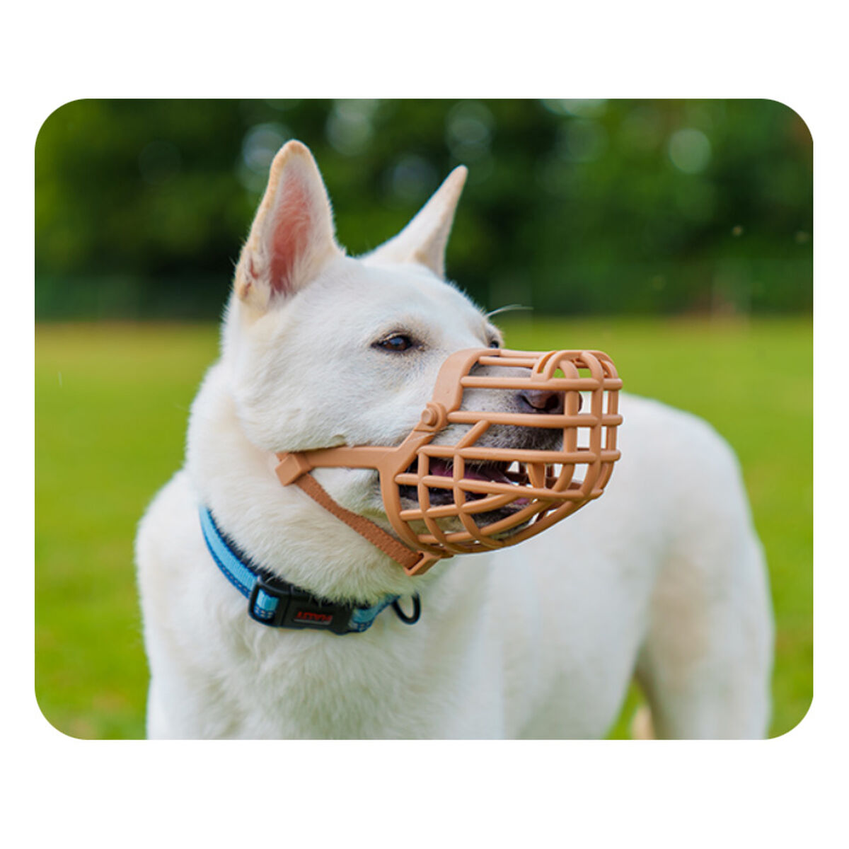 Company of Animals Dog Muzzle – Size 9 (Brown)