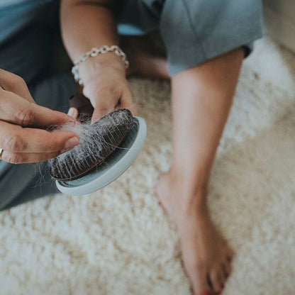 Self-Cleaning Pet Grooming Brush