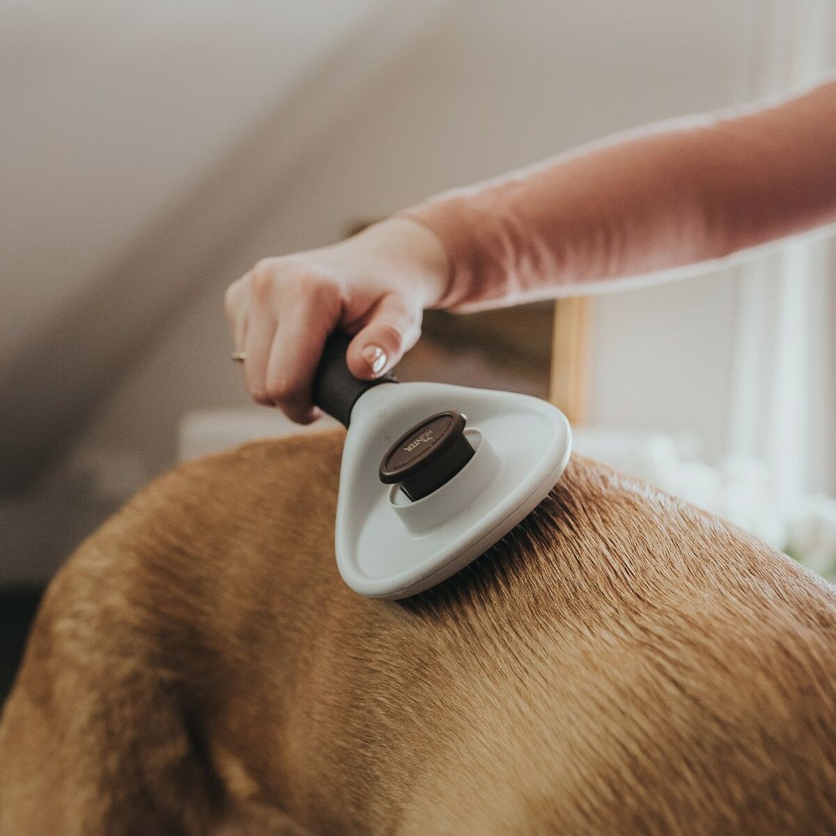 Self-Cleaning Pet Grooming Brush