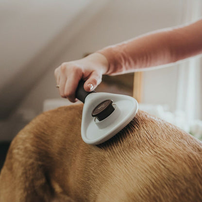 Self-Cleaning Pet Grooming Brush