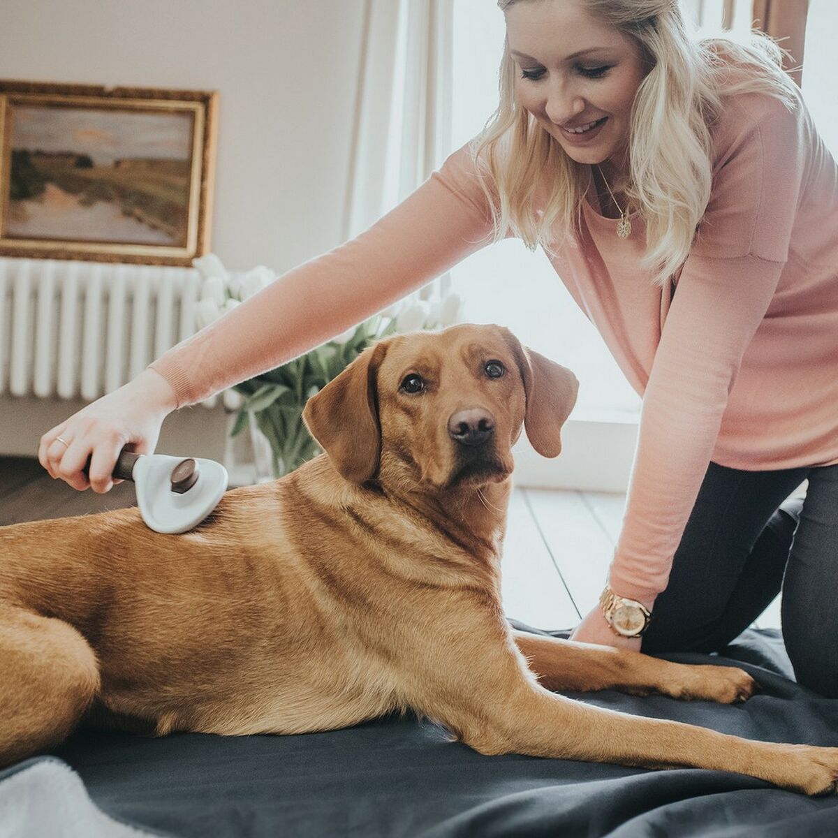 Self-Cleaning Pet Grooming Brush