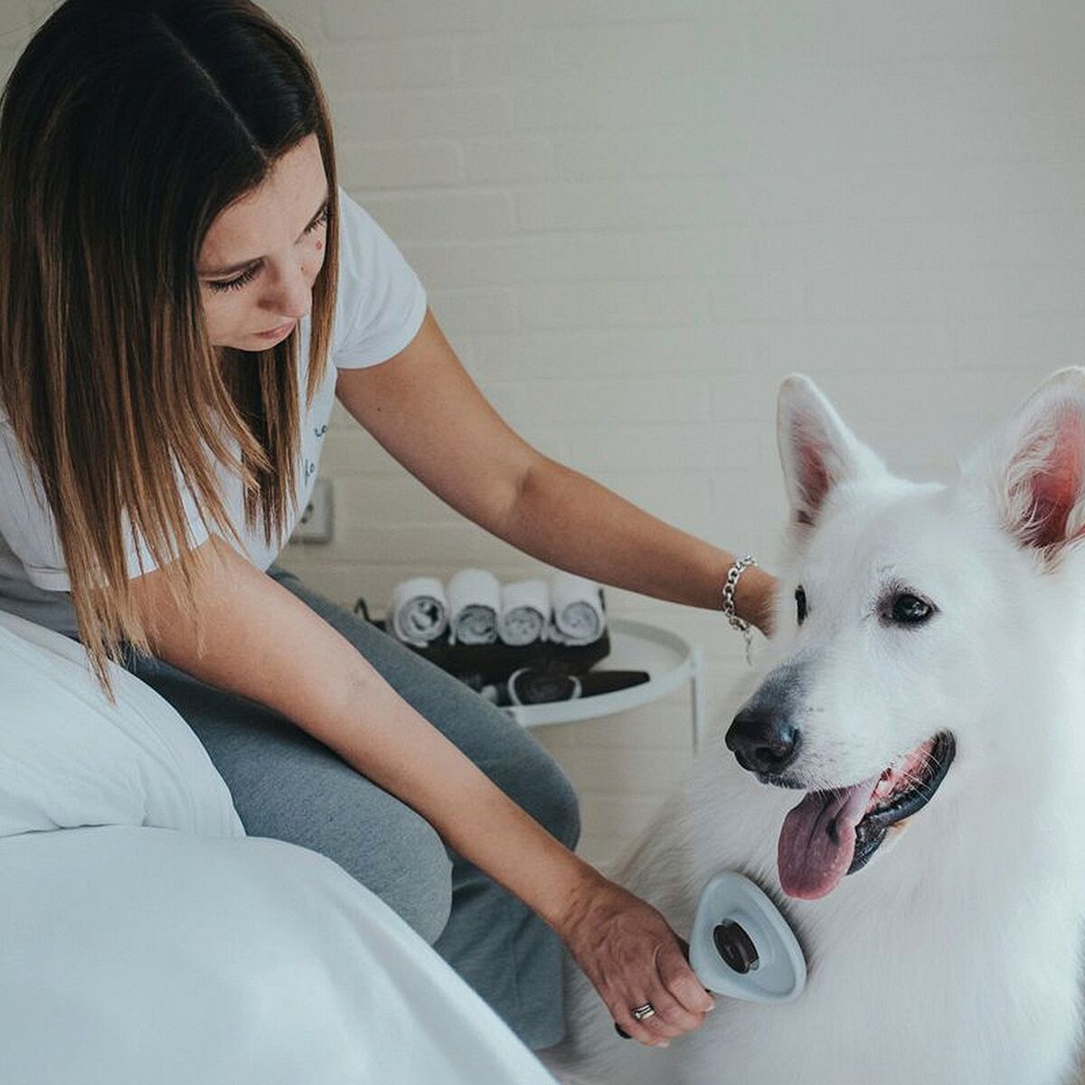 Self-Cleaning Pet Grooming Brush
