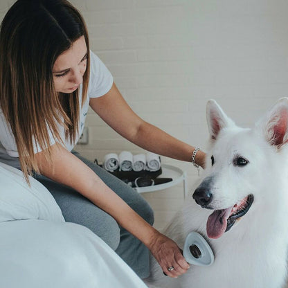 Self-Cleaning Pet Grooming Brush